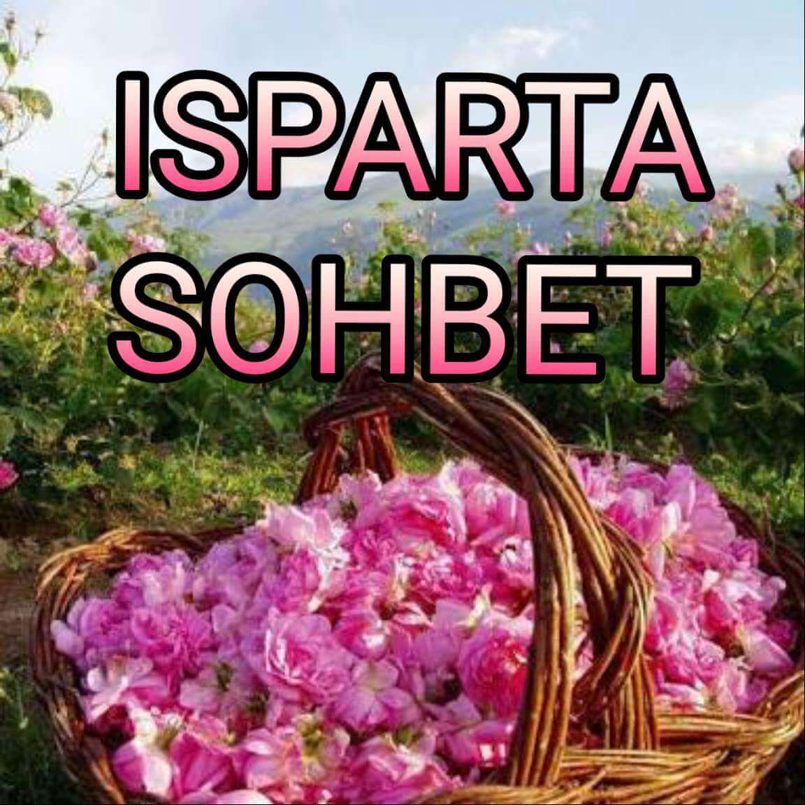 Isparta Sohbet