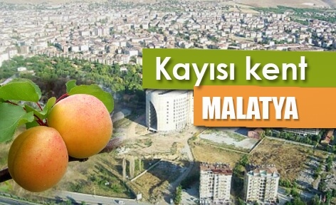 Malatya Sohbet